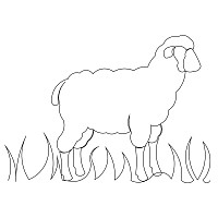 lamb border 001